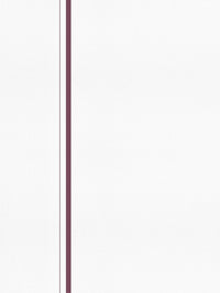 Classic White Dhoti With Small Border